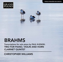 Brahms: Transcriptions for Piano